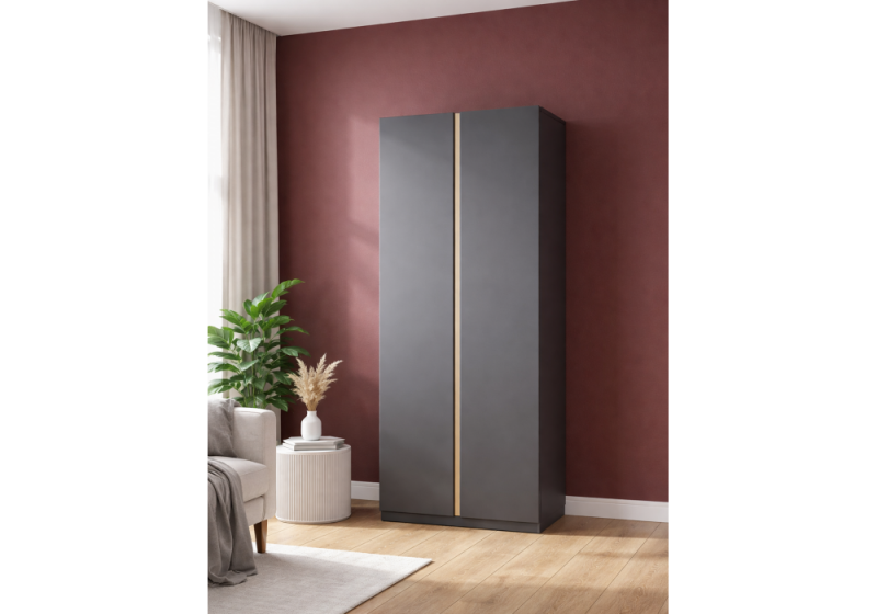 Шкаф Кассий 80 2-х ств графит (80x52x223,6)